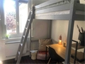 appartement à la location